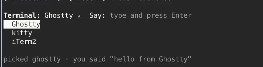 The Terminal select opened, listing Ghostty, kitty and iTerm2.